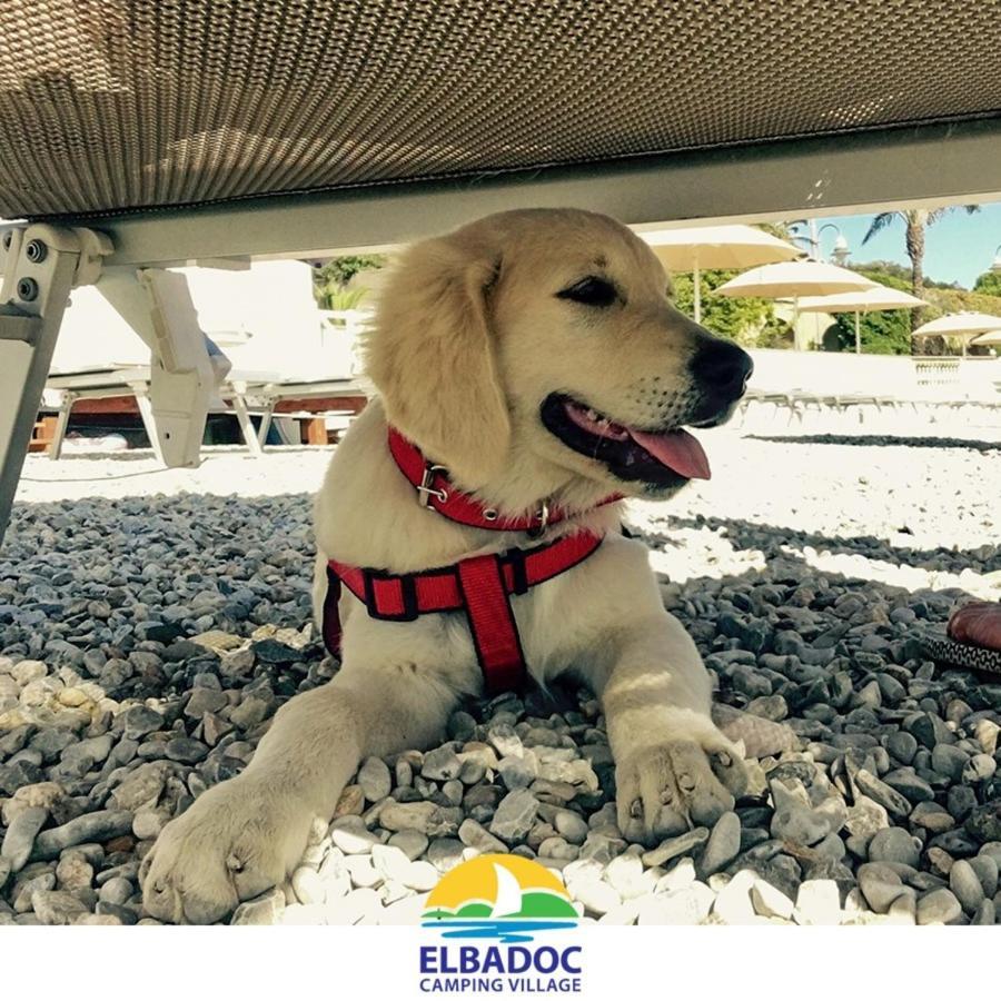 Elbadoc Camping Village Cavo Buitenkant foto