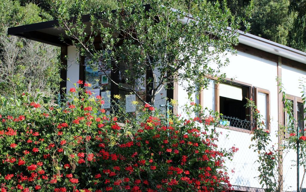 Elbadoc Camping Village Cavo Buitenkant foto