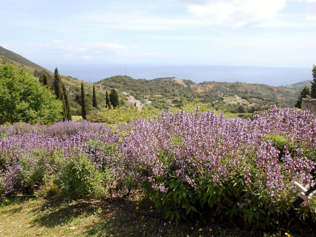 Elbadoc Camping Village Cavo Buitenkant foto